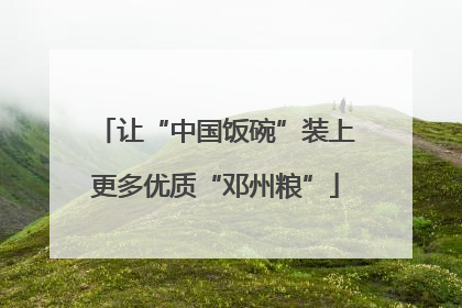 让“中国饭碗”装上更多优质“邓州粮”
