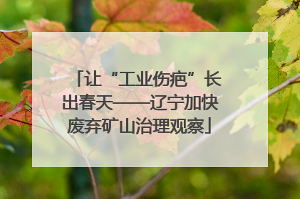 让“工业伤疤”长出春天——辽宁加快废弃矿山治理观察