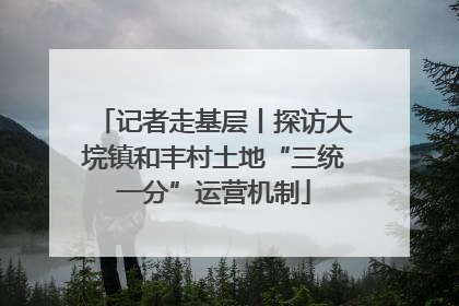 记者走基层丨探访大垸镇和丰村土地“三统一分”运营机制