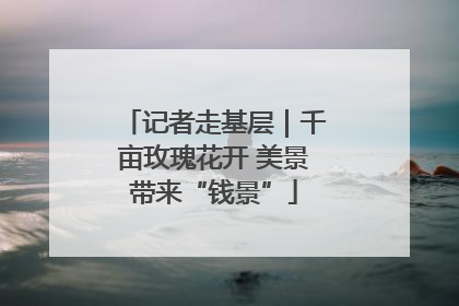 记者走基层｜千亩玫瑰花开 美景带来“钱景”