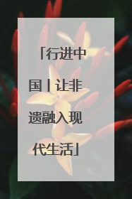 行进中国丨让非遗融入现代生活