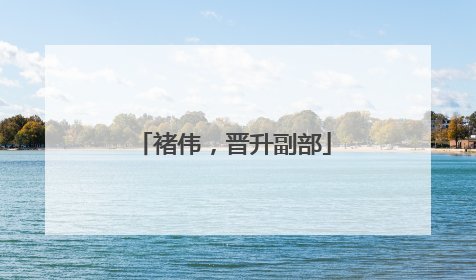 褚伟，晋升副部