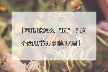西瓜能怎么“玩”？这个西瓜节办到第37届
