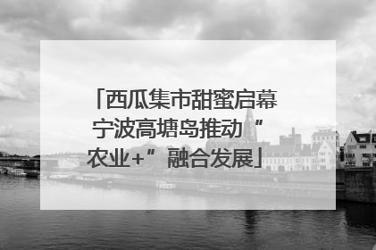 西瓜集市甜蜜启幕 宁波高塘岛推动“农业+”融合发展