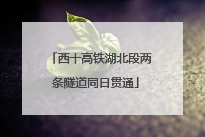 西十高铁湖北段两条隧道同日贯通