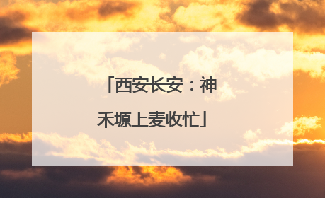 西安长安：神禾塬上麦收忙