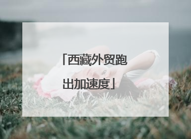 西藏外贸跑出加速度