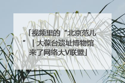 视频里的“北京范儿”｜大葆台遗址博物馆来了网络大V联盟
