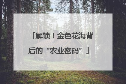 解锁！金色花海背后的“农业密码”