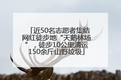 近50名志愿者集结网红徒步地“天鹅林场”，徒步10公里清运150余斤山野垃圾