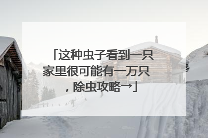 这种虫子看到一只家里很可能有一万只，除虫攻略→