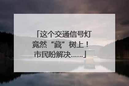 这个交通信号灯竟然“藏”树上！市民盼解决……