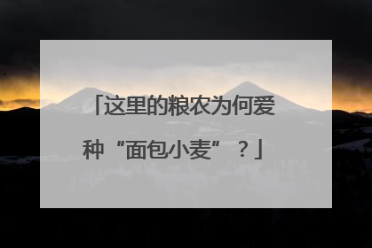 这里的粮农为何爱种“面包小麦”？