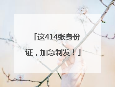 这414张身份证，加急制发！
