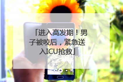 进入高发期！男子被咬后，紧急送入ICU抢救