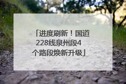 进度刷新！国道228线泉州段4个路段焕新升级