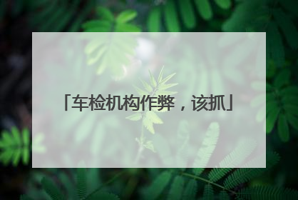 车检机构作弊，该抓