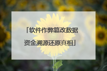 软件作弊篡改数据 资金溯源还原真相