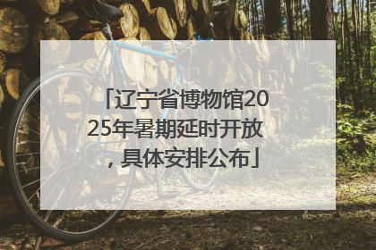 辽宁省博物馆2025年暑期延时开放，具体安排公布