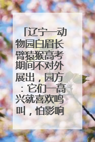 辽宁一动物园白眉长臂猿猴高考期间不对外展出，园方：它们一高兴就喜欢鸣叫，怕影响考试