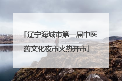 辽宁海城市第一届中医药文化夜市火热开市