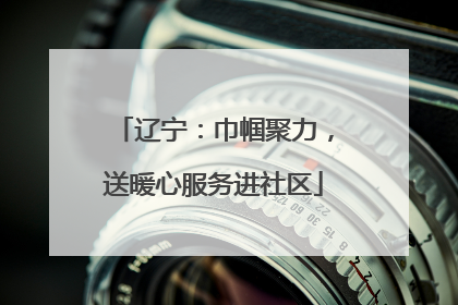 辽宁：巾帼聚力，送暖心服务进社区