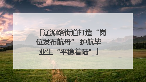 辽源路街道打造“岗位发布航母” 护航毕业生“平稳着陆”