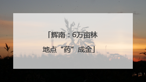 辉南：6万亩林地点“药”成金