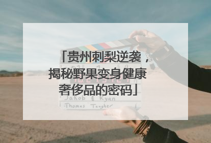 贵州刺梨逆袭，揭秘野果变身健康奢侈品的密码
