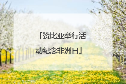 赞比亚举行活动纪念非洲日