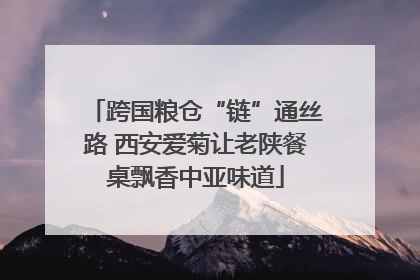 跨国粮仓“链”通丝路 西安爱菊让老陕餐桌飘香中亚味道