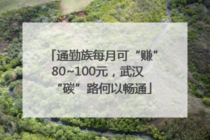 通勤族每月可“赚”80~100元，武汉“碳”路何以畅通