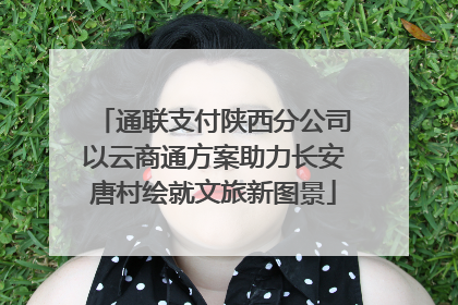 通联支付陕西分公司以云商通方案助力长安唐村绘就文旅新图景