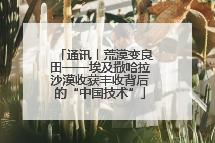 通讯丨荒漠变良田——埃及撒哈拉沙漠收获丰收背后的“中国技术”