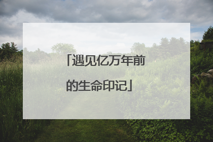 遇见亿万年前的生命印记