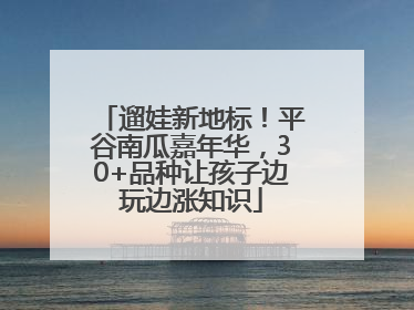 遛娃新地标！平谷南瓜嘉年华，30+品种让孩子边玩边涨知识