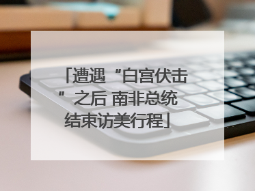 遭遇“白宫伏击”之后 南非总统结束访美行程