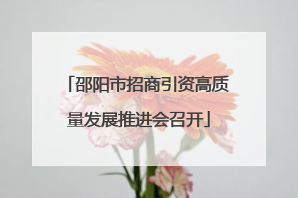 邵阳市招商引资高质量发展推进会召开