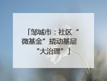 邹城市：社区“微基金”撬动基层“大治理”