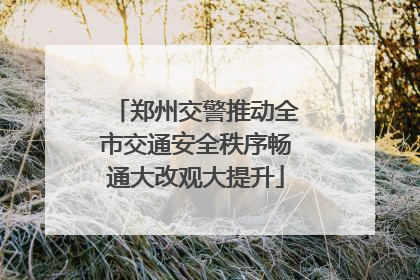 郑州交警推动全市交通安全秩序畅通大改观大提升