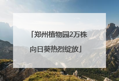 郑州植物园2万株向日葵热烈绽放
