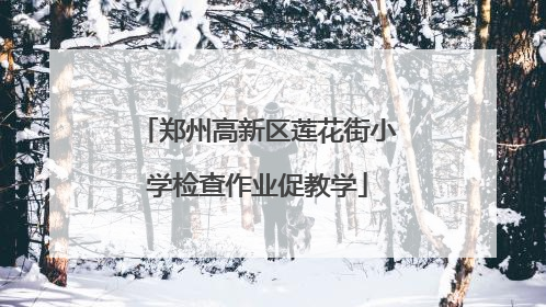 郑州高新区莲花街小学检查作业促教学