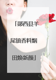 郧西县羊尾镇香料烟田焕新颜