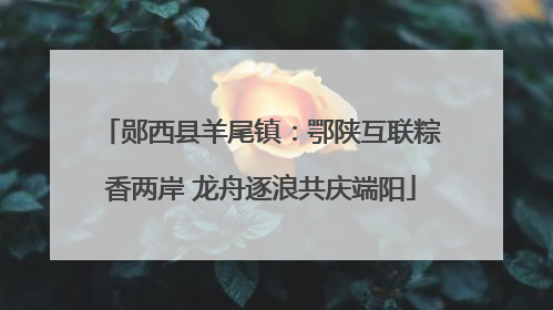 郧西县羊尾镇：鄂陕互联粽香两岸 龙舟逐浪共庆端阳