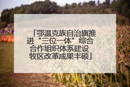 鄂温克族自治旗推进“三位一体”综合合作组织体系建设 牧区改革成果丰硕