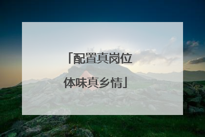 配置真岗位 体味真乡情