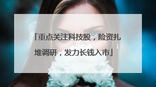 重点关注科技股，险资扎堆调研，发力长钱入市