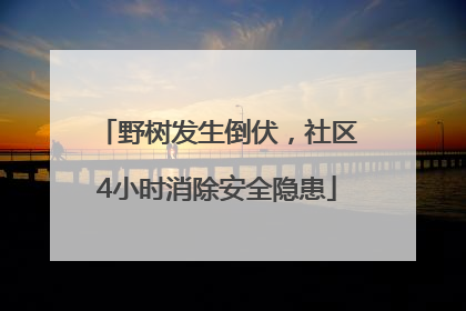 野树发生倒伏，社区4小时消除安全隐患