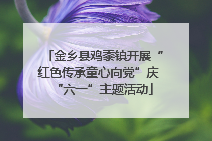 金乡县鸡黍镇开展“红色传承童心向党”庆“六一”主题活动