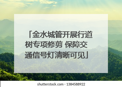 金水城管开展行道树专项修剪 保障交通信号灯清晰可见